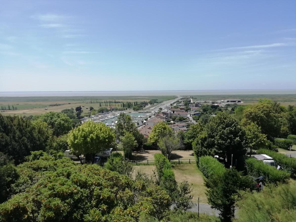 Chateau Des Salles Hotel Saint-Fort-sur-Gironde ภายนอก รูปภาพ